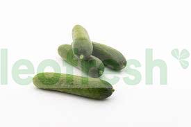CUCUMBER BABY