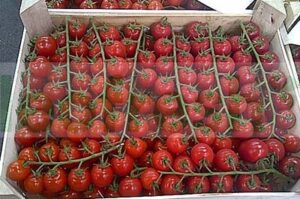 CHERRY TOMATOES IN WINE
