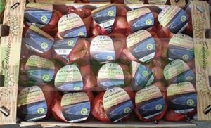 BANANA SHALLOT NET BAG