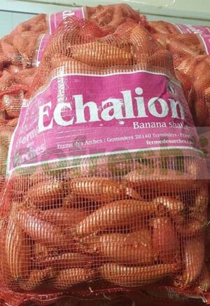 BANANA SHALLOT