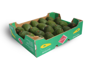 AVOCADO HASS CAL 18
