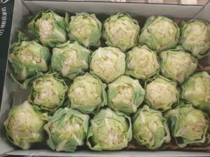 BABY CAULIFLOWER IN DISH