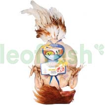 CHAPON LABEL RED DES DOMBES WITH GIBLETS