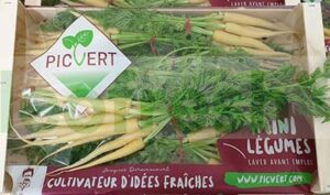 CARROT BABY YELLOW IN BUNCH