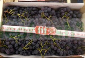 GRAPES MUSCAT