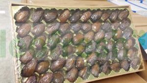 DATE MEDJOOL NEW CROPS X 3 KG
