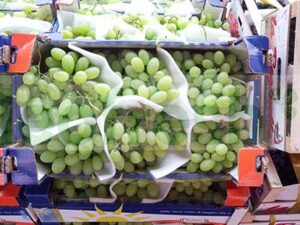 GRAPES WHITE SEEDLESS
