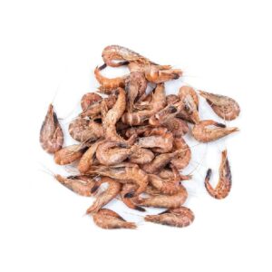 SHRIMP GREEN COOK MEDIUM HOLLANDE