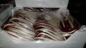 RADICCHIO LONG HAIR SALAD