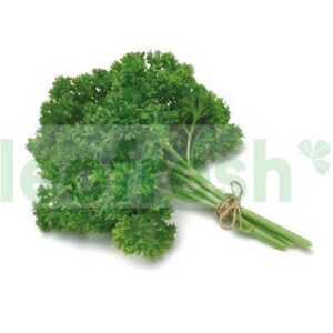 PARSLEY CURLY