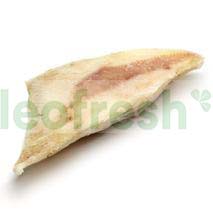 SKATE WING 300 / 700G