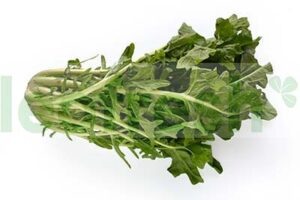 CIMA DI RAPA SALAD