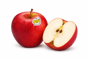APPLE JOYA