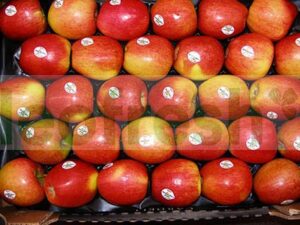 BRAEBURN APPLE