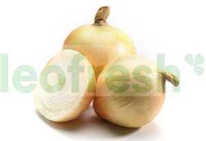 SWEET ONION FROM CEVENNE AOP