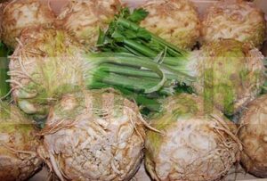 CELERIAC