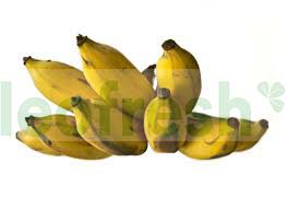 BANANA PLANTAIN