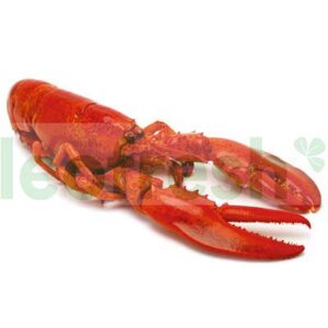 LOBSTER ORIGIN CANADA 400- 500GR FROZEN