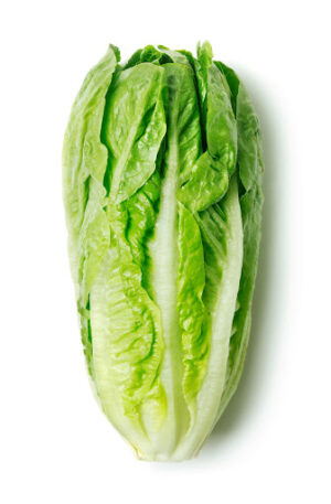 ROMAINE SALAD