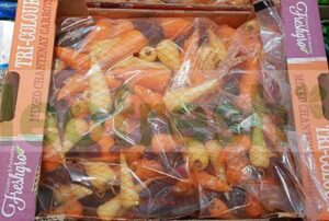 CARROT BABY CHANTENAY MULTICOLORED