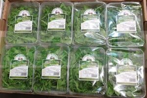 BABY SPINACH IN DISH