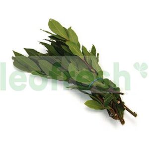LAUREL - BAY LEAVES