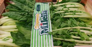 PUNTARELLE LEAVES