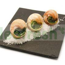 BOURGOGNE MEDIUM SNAILS X96 600G