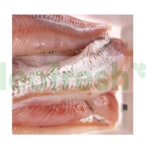 FILET WHITING 100/200 MAIN