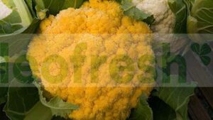 CAULIFLOWER ORANGE