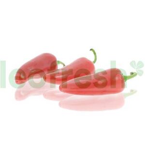 RED JALAPENO PEPPER