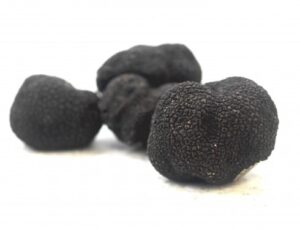 TRUFFLE TUBER MELANOSPORUM 8-20 GR