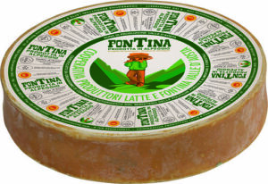 FONTINA
