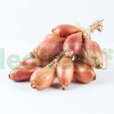 SHALLOT IN STRING X 500 GR
