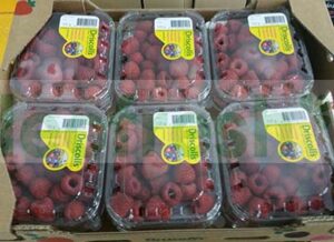 RASPBERRY 12 X 125 GR