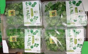 LAMB LETTUCE IN DISH