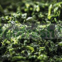 CHOPPED SPINACH PORTIONS 2.5KG