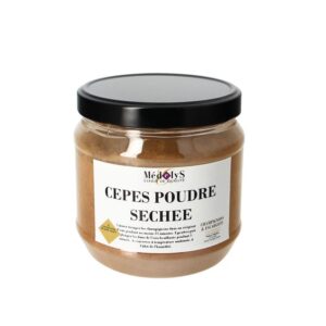 PORCINI MUSHROOM POWDER - 454G