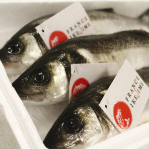 WILD SEABASS IKEJEME