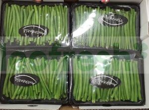 BEAN EXTRA FINE 12 X 250 GR