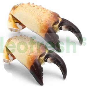 MUD CRAB CLAWS 12/20