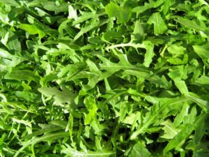 WILD ROQUETTE SALAD  ROCKET