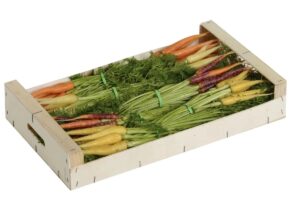 CARROT BABY MULTICOLORED IN BUNCH