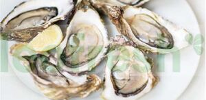 OYSTER GILLARDEAU N4 96PCS
