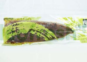 FILET EEL 250G UNAGI