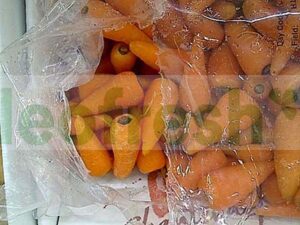 CARROT BABY CHANTENAY