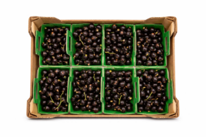 BLACK CURRANT 12 X 125 GR